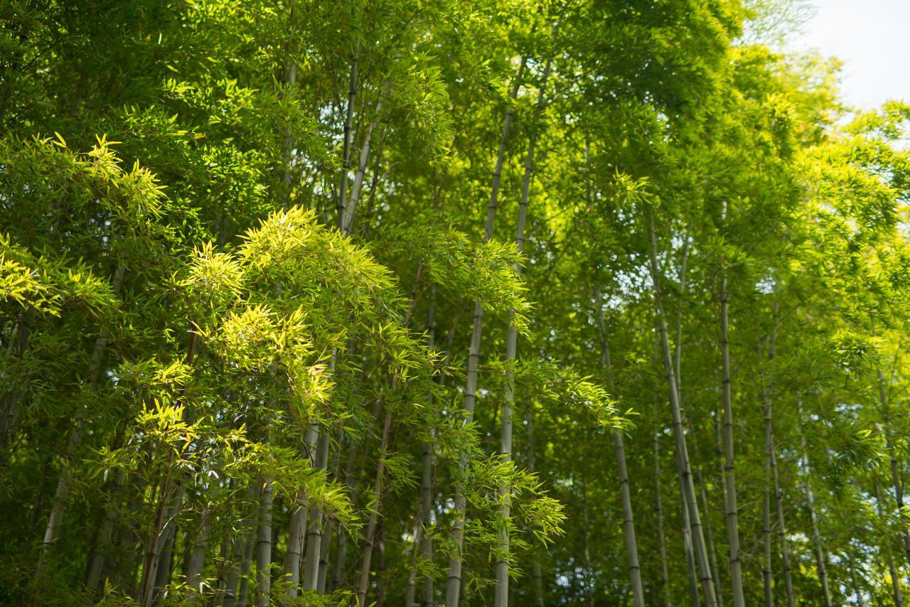 Kyoto Chikuan Apartment Luaran gambar